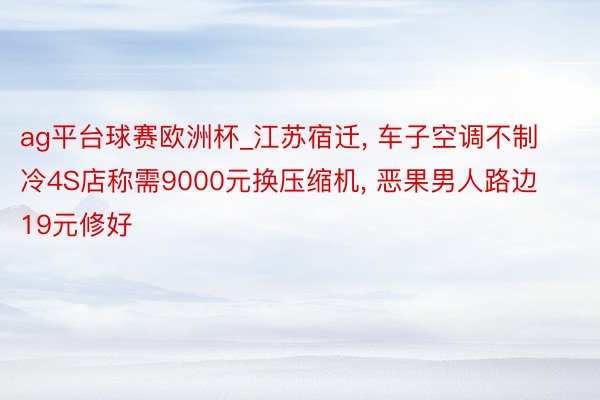 ag平台球赛欧洲杯_江苏宿迁， 车子空调不制冷4S店称需9000元换压缩机， 恶果男人路边19元修好